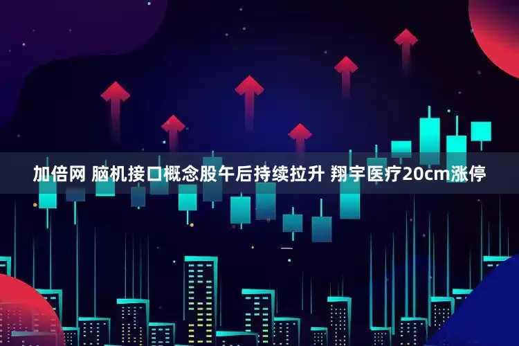 加倍网 脑机接口概念股午后持续拉升 翔宇医疗20cm涨停