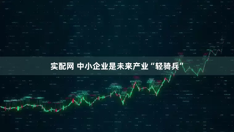 实配网 中小企业是未来产业“轻骑兵”