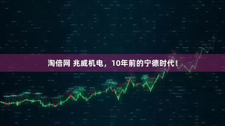 淘倍网 兆威机电，10年前的宁德时代！