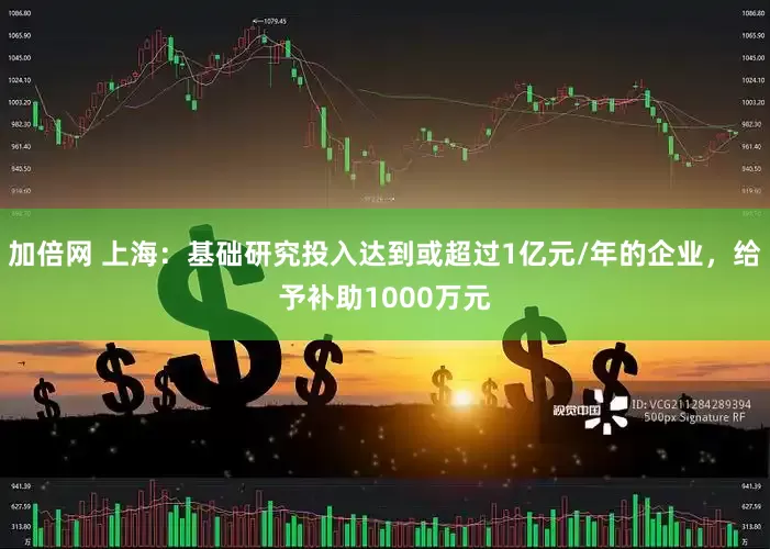 加倍网 上海：基础研究投入达到或超过1亿元/年的企业，给予补助1000万元