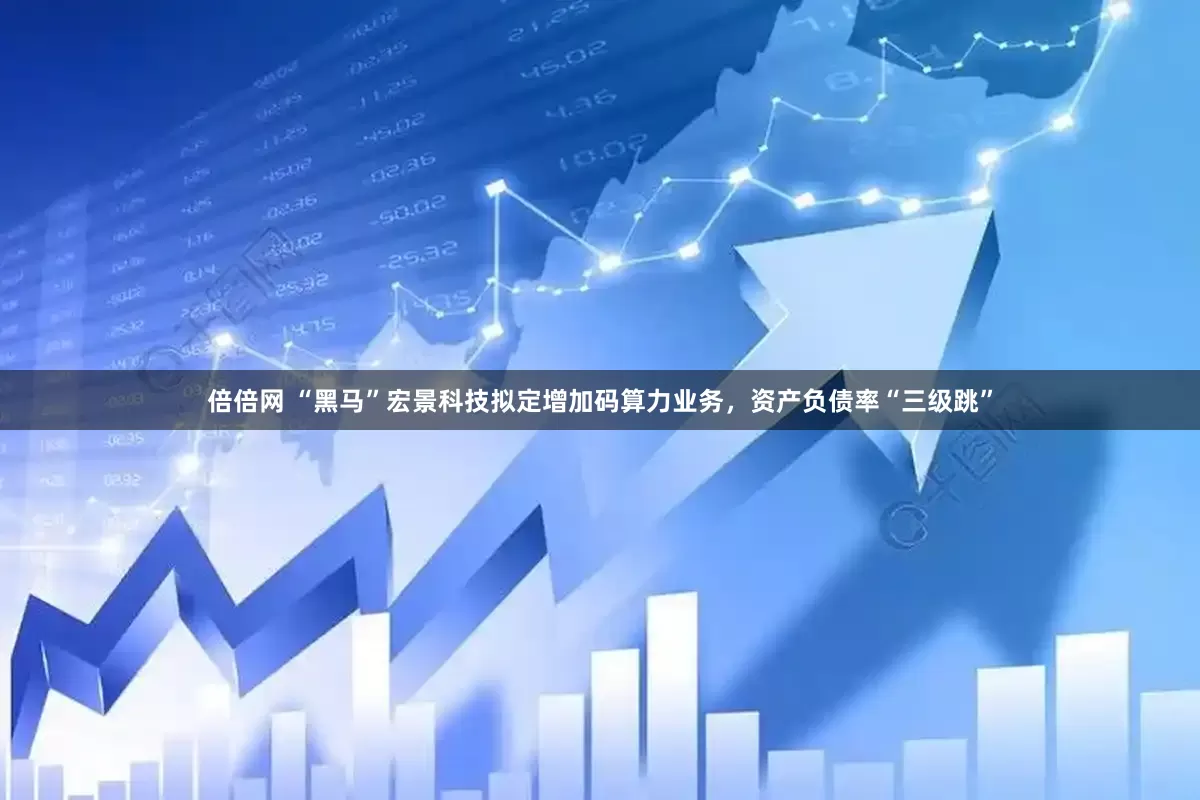 倍倍网 “黑马”宏景科技拟定增加码算力业务，资产负债率“三级跳”