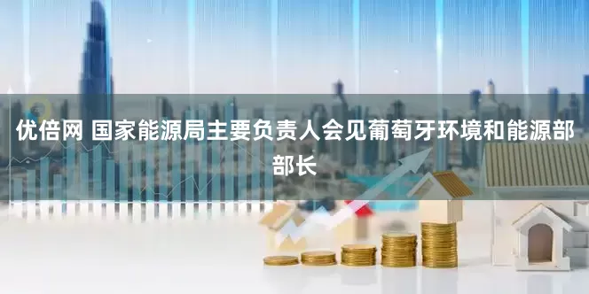 优倍网 国家能源局主要负责人会见葡萄牙环境和能源部部长