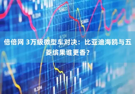 倍倍网 3万级微型车对决：比亚迪海鸥与五菱缤果谁更香？