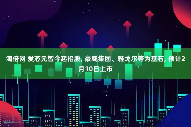 淘倍网 爱芯元智今起招股, 豪威集团、雅戈尔等为基石, 预计2月10日上市
