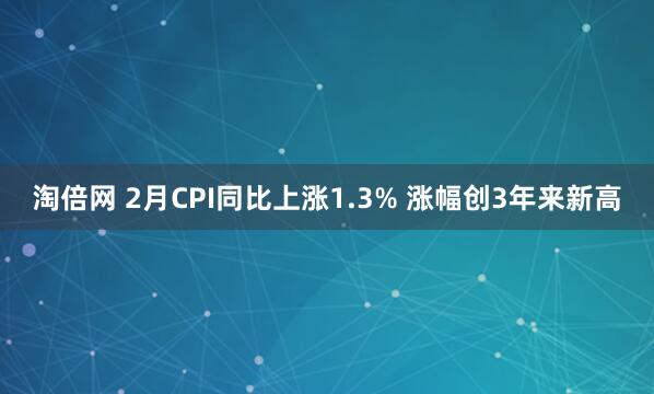 淘倍网 2月CPI同比上涨1.3% 涨幅创3年来新高