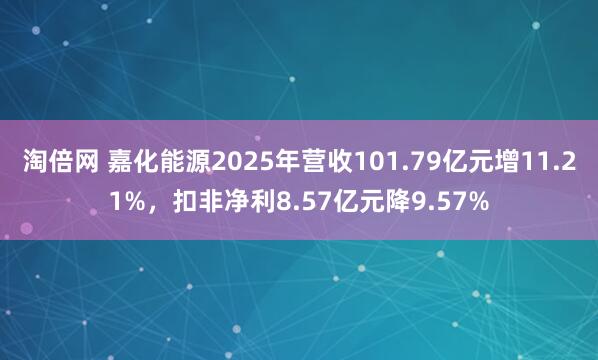 淘倍网 嘉化能源2025年营收101.79亿元增11.21%，扣非净利8.57亿元降9.57%